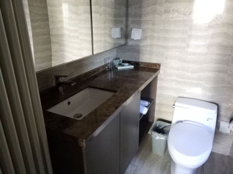 國貿世紀公寓盥洗室